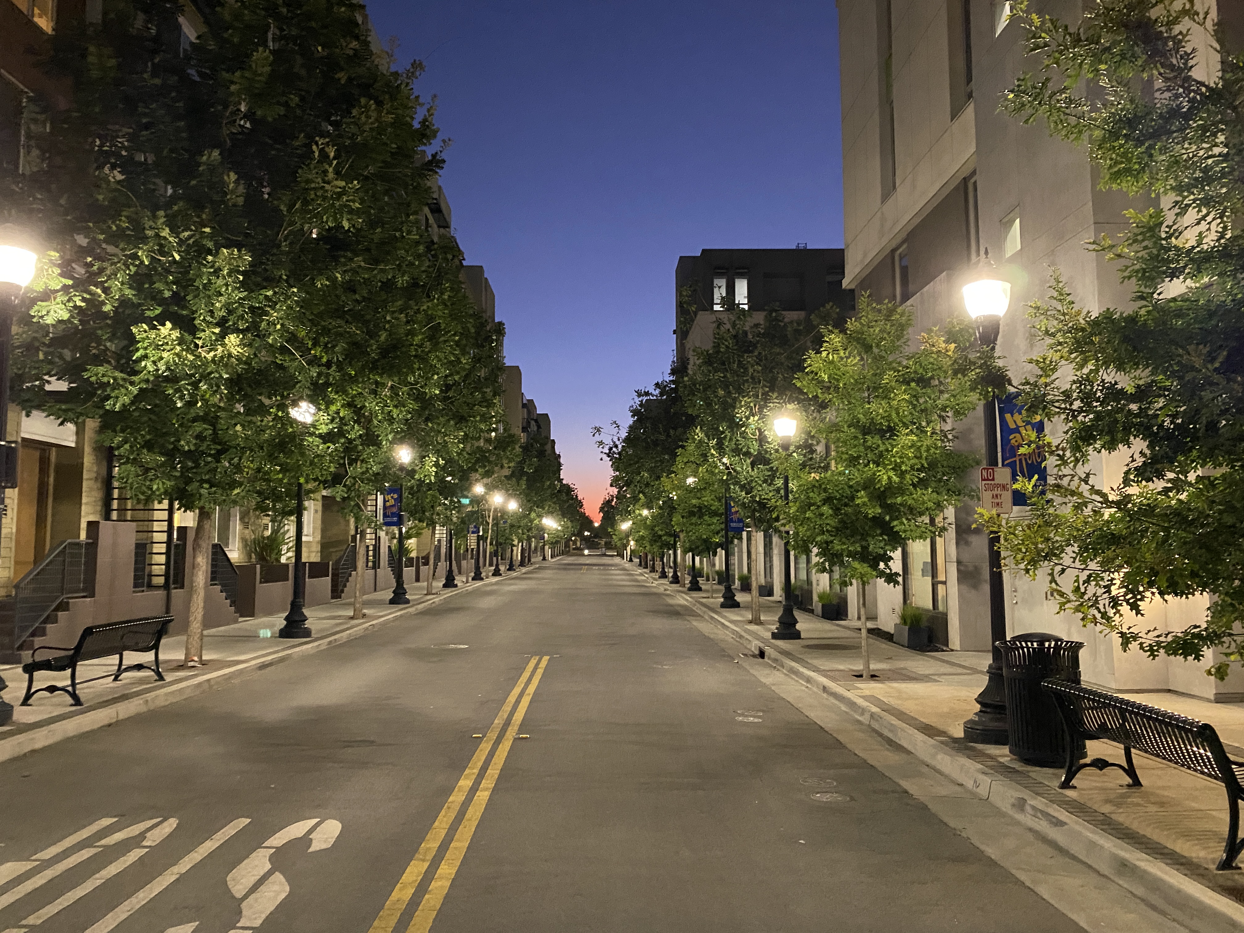 Sunset down a street with trees